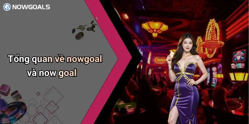 Tổng quan về nowgoal và now goal