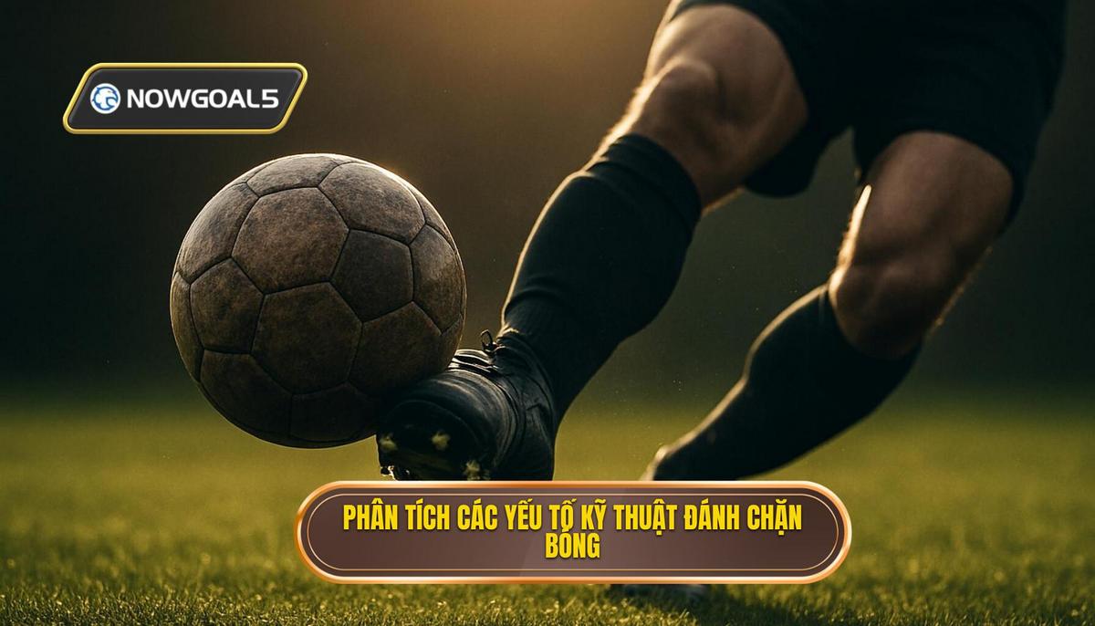 Phân tích chuyên sâu các yếu tố cốt lõi của Kỹ thuật đánh chặn bóng