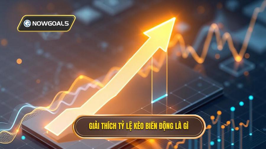 1. Hiểu đúng về tỷ lệ kèo biến động là gì?